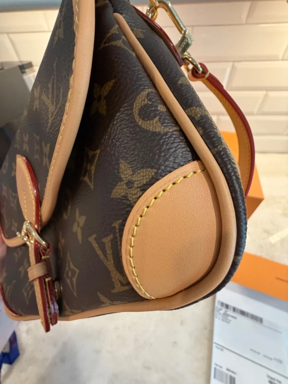 Louis Vuitton Diane NM Monogram Canvas Handbag | Brand New | Never Used |